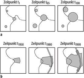 temporale Animation