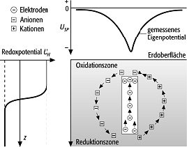 Eigenpotential