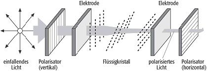 LCD