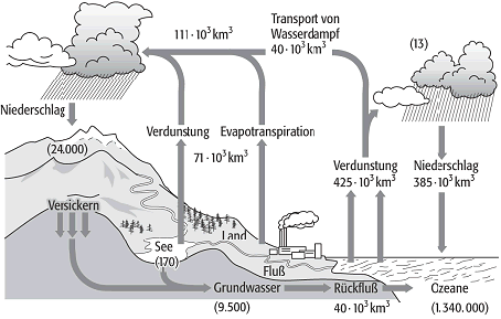 terrestrische Wässer