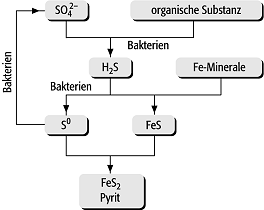 Eisensulfide