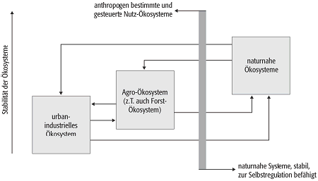 Theorie der differenzierten Bodennutzung