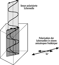 elastische Eigenschaften