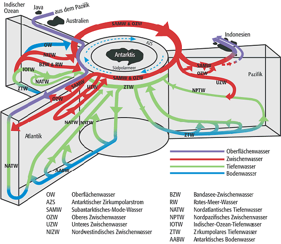 thermohaline Zirkulation