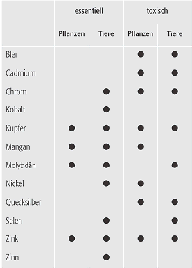 toxische Metalle