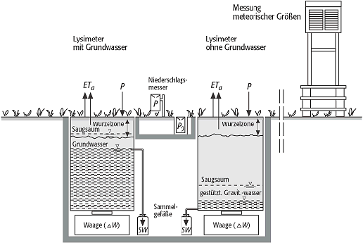 Lysimeter