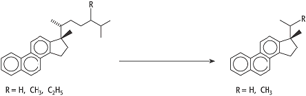 triaromatische Sterane