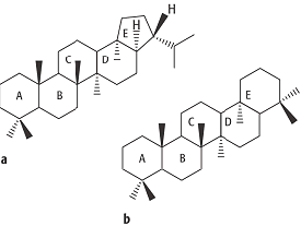 Triterpane