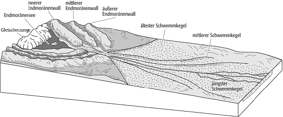 Trompetentälchen