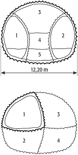 Ulmenstollenvortrieb