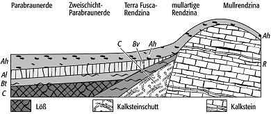 Faktoren der Bodenbildung