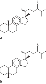 monoaromatische Sterane