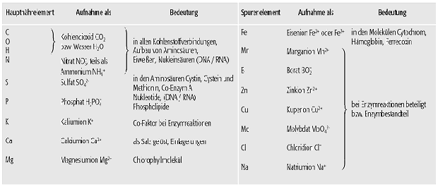 Nährelemente