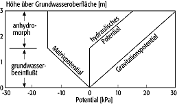 Feldkapazität