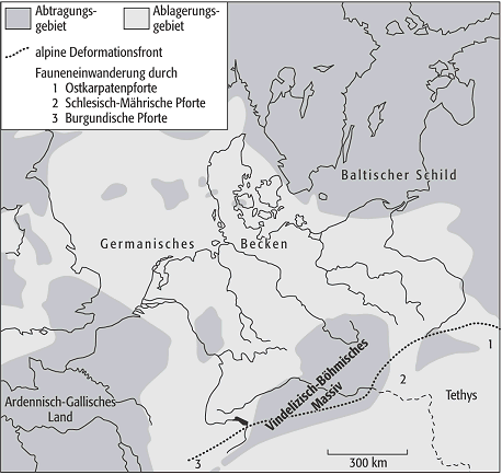 Vindelizische Schwelle