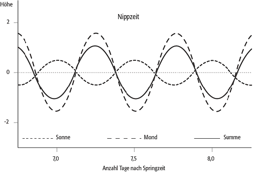 Nipptide