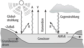 Wärmehaushalt