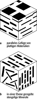 Foliation