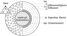 Wasserhülle eines Bodenteilchens