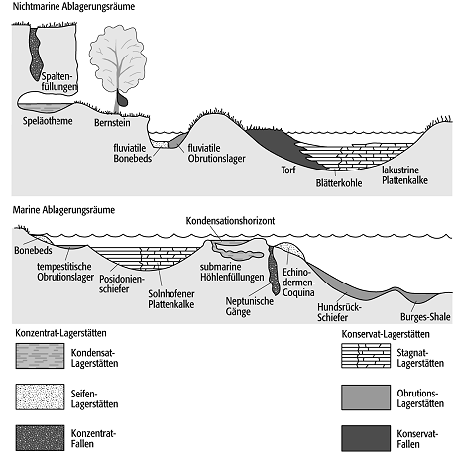 Fossillagerstätten