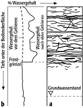 Frostempfindlichkeit