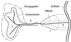 Wildbach