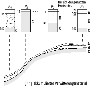 gekapptes Bodenprofil