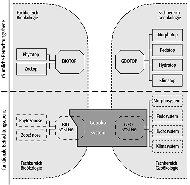 Geoökosystem