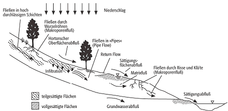 Zwischenabfluss